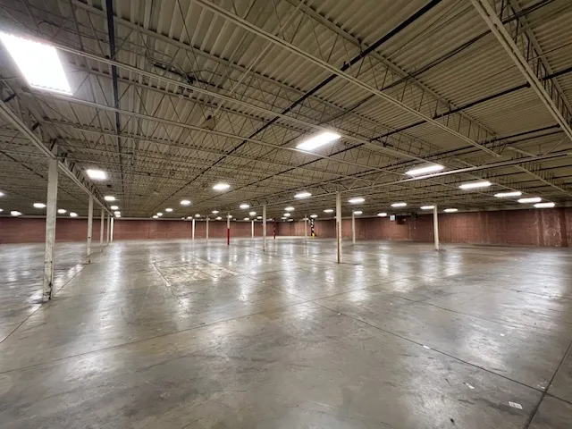 IMG 4