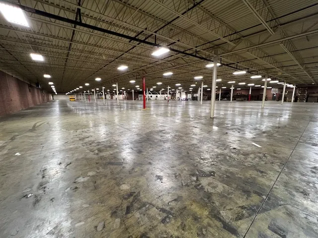 IMG 1